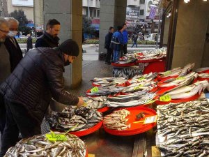 Hamsiden Sonra İstavrit De Artık Tezgahlardan Çekiliyor