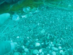 Deniz Canlıları İçin Ölümcül Tuzak Olan ‘Hayalet Ağlar’ Sualtı Hayatını Tehdit Ediyor