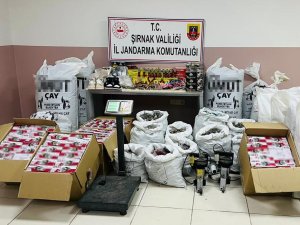 Şırnak’ta Terörün Finans Kaynaklarına Darbe: 73 Gözaltı