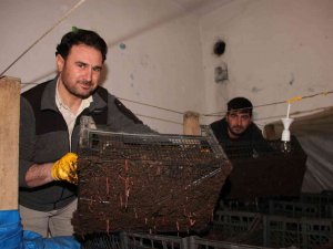 Dedesine Ait İki Katlı Evde Solucan Gübresi Üretiyor