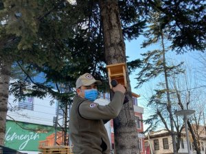 Kastamonu’da Çeşitli Noktalara Kuş Yuvaları Asılarak Yem Bırakıldı