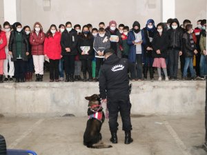 Öğrenciler, Jandarma İle Birlikte Müzeyi Gezdi