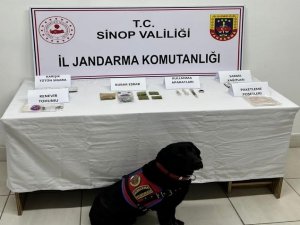 Sinop’ta İki Ayrı Uyuşturucu Operasyonu