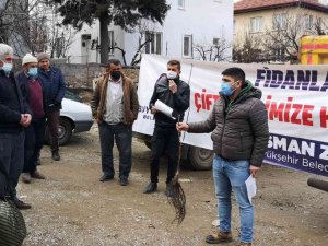 Denizli’de 2017’den Bugüne Kadar 380 Bin Ceviz Fidanı Dağıtıldı