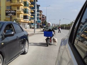 Köpeği Motora Bağlayıp Sürüklerken Gazeteciye Saldıran Sürücüden İlginç Savunma: "Spor Yaptırıyorum"
