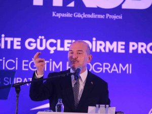 Bakan Soylu: "Büyükelçilerin Verdiği Mamalarla Beslenmeye Benzemez Bu İşler"