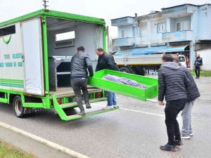 Cipin Çarptığı Yaşlı Kadın Hayatını Kaybetti