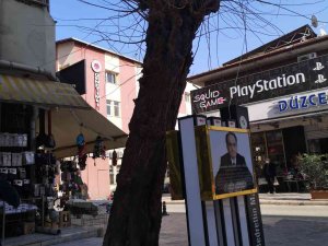 Tehlikeli Ağaçlar Kaldırılacak