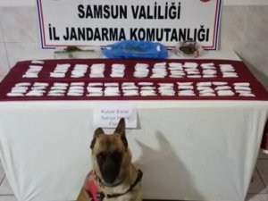 Samsun’da 120 Paket Satışa Hazır Uyuşturucu Ele Geçirildi