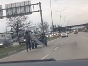Bursa’da Sürücüsüz At Arabası Trafiği Birbirine Kattı