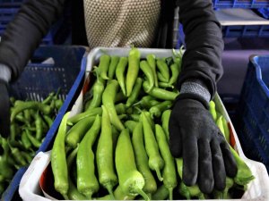 Atb’den Şubat Ayı Sebze Ve Meyve Endeksi Açıklaması