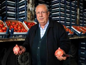 Rusya-ukrayna Savaşı Domatesi Vurdu: Kilosu 25 Liradan 4 Liraya Düştü