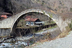 Meksika Devlet Başkanı Rize'deki Köprü'yü Erdoğan'a Sordu
