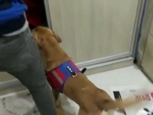Çanakkale’de Uyuşturucu Operasyonu: 15 Gözaltı