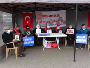 Muş’ta Evlat Nöbeti Tutan Aile Sayısı 28’e Yükseldi