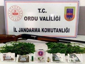 Ordu’da Uyuşturucu Mücadelesi Sürüyor