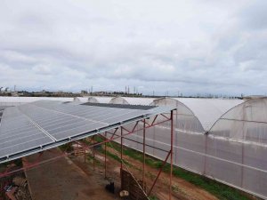 Hibe Desteğiyle Sera Kurdu, Ürettiği Elektriğin Fazlasını Satmaya Başladı