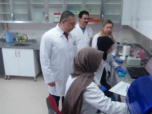 Patatesin Parmak İzi Çıkarılıyor