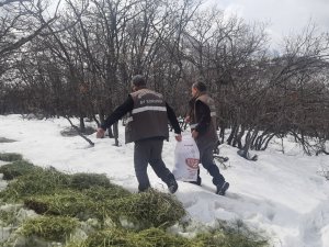 Tunceli’de Yaban Hayvanları İçin Doğaya Yem Bırakıldı