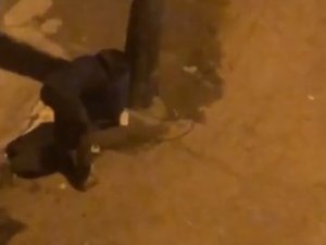 Makasla Kesti, Çöp Kovalarını Böyle Çalmaya Kalkıştı