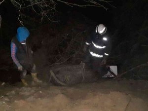 Çamura Saplanan İneği İtfaiye Ekipleri Kurtardı