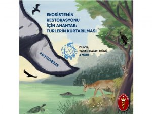 Türk Veteriner Hekimleri Birliği: “Yaban Hayatından Taraf Olmazsak Bertaraf Olacağız”