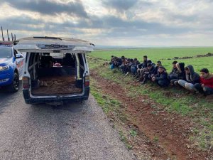 Kilis’te Düzensiz Göçmen Kaçakçılığı