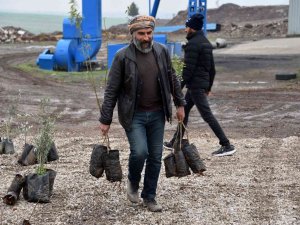 Siverek’te Çiftçilere Meyve Fidanı Dağıtıldı