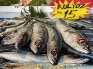 Kilosu 15 Lira, Kapış Kapış Satılıyor