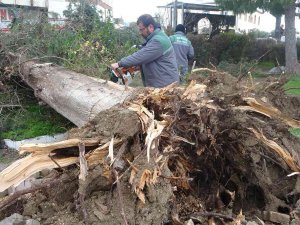 Antalya’da Hortumun Vurduğu Mahallede Dehşet Gün Ağarınca Ortaya Çıktı