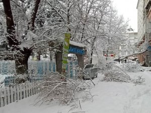 Konya’da Kar Yağışı Ağaçları Devirdi