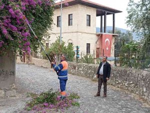 Sürücülere Engel Ağaçlar Budanıyor