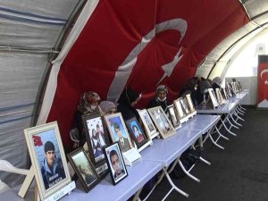 Evlat Nöbetindeki Anneden Dağa Kaçırılan Oğluna ‘Teslim Ol’ Çağrısı