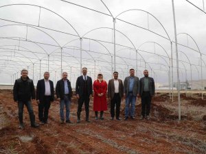Eyyübiye’de İstihdam Projeleri Başladı