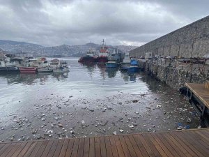 Görenler Şaşkına Döndü, Plastik Atıklar Denizin Üzerini Kapladı