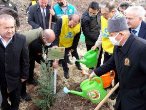 Osmaniye’de Güney Kore-türkiye Dostluk Ormanı Kuruldu