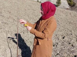 Hisarcık’ta Meyve Bahçelerinde Sertifikalı Fidan Kontrolleri