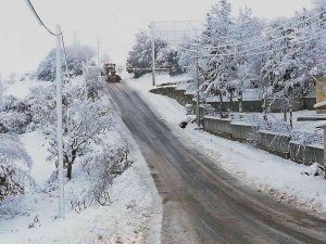 Büyükşehir 111 İhbara Müdahale Etti