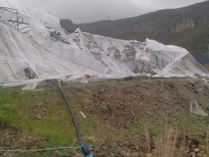Şiddetli Rüzgar Seralara Zarar Verdi