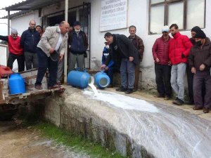 Çanakkale’de Mandıracılara Kızıp 200 Kilogram Sütü Döktüler