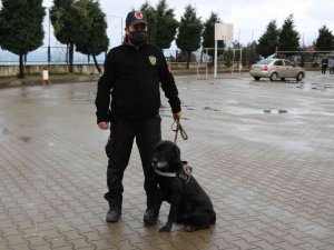 Okul Çevrelerinde Narkotik Denetimi Yaptılar