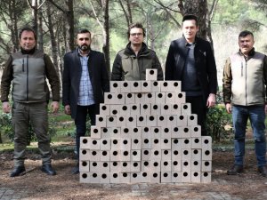 Süreyya Tabiat Parkına Kuş Yuvaları Yerleştirildi