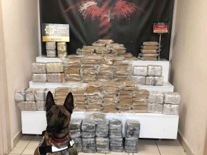 Otobüsün Tavanında Gizlenen 126 Kilo Eroini ’Talisca’ Buldu