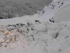 Tunceli’de Yoğun Kar Yağışı Nedeniyle Zincirsiz Tır Geçişine İzin Verilmiyor