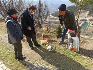 Sokak Hayvanları Unutulmadı,1 Ton Mama Doğaya Bırakıldı