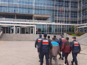 Meyve Bahçelerinden Hırsızlık Yapan 4 Kişi Tutuklandı