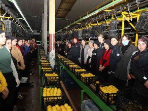 Kadın Polisler Halde Çalışan Kadınlara Kades’i Anlattı
