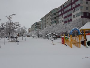 Bitlis’te 207 Köy Yolu Ulaşıma Kapandı