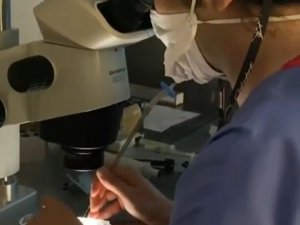 Uzmanlar Bu Defa Sigaranın Anne Karnındaki Çocuğa Etkisini Araştırdı