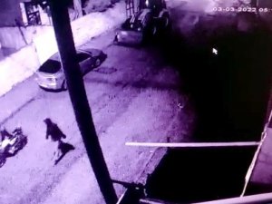 Park Halindeki Motosikleti Çaldılar